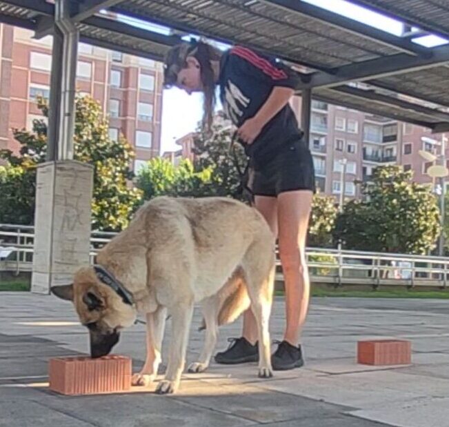 Busqueda punto a punto en detección deportiva