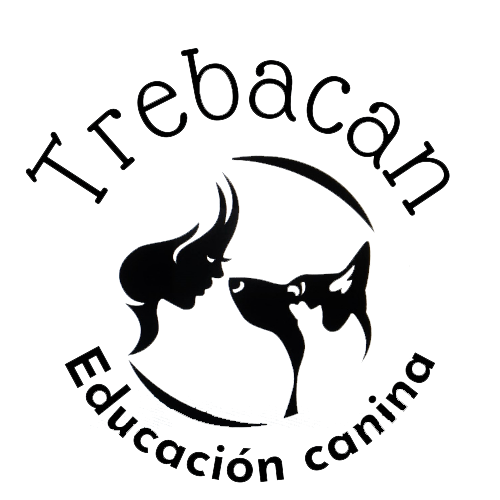 Trebacan Educación Canina